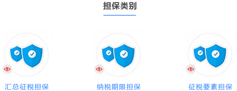 担保类别